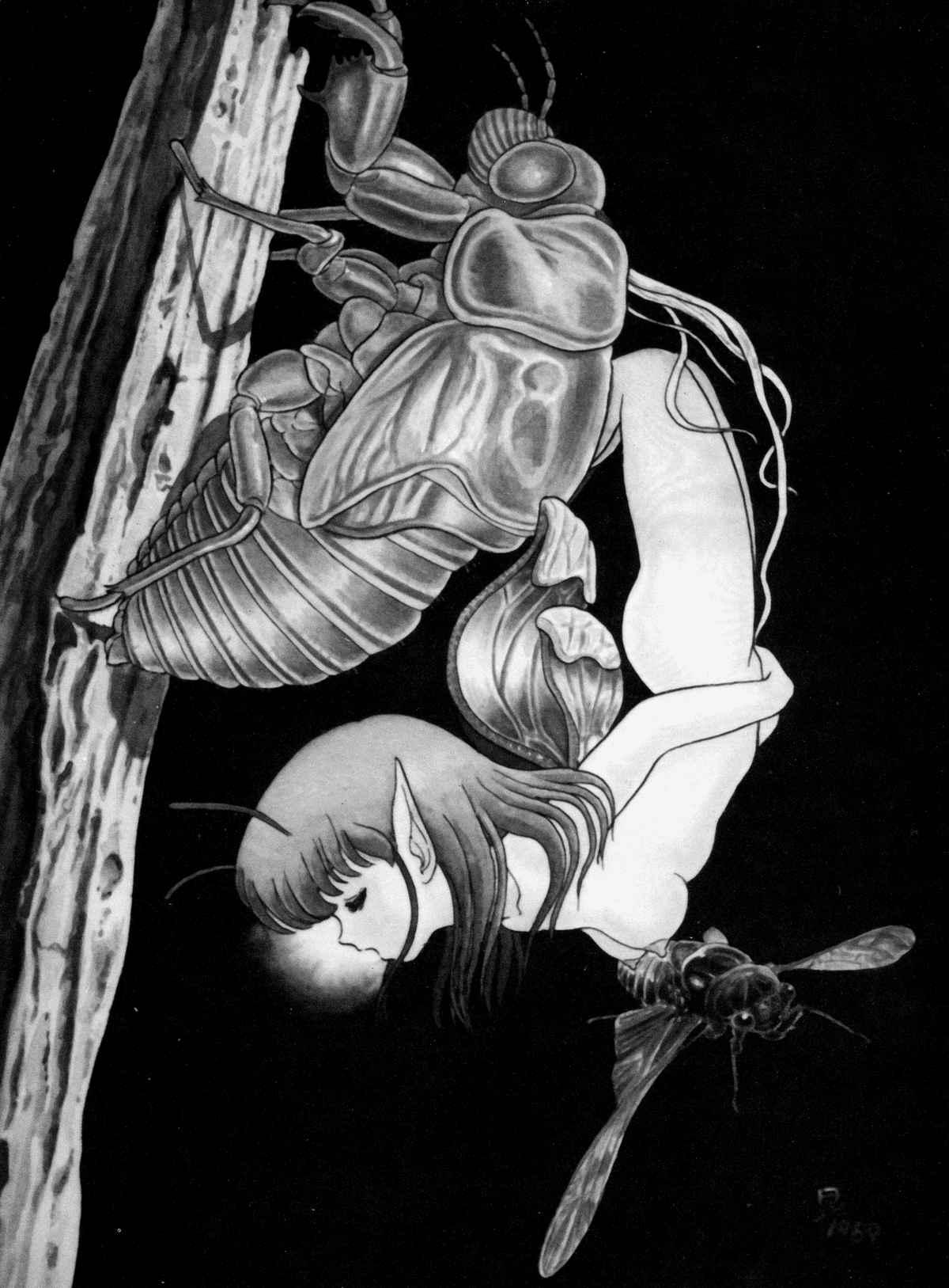 Bondage Fairies Fetish Chapter 1000 Page 152